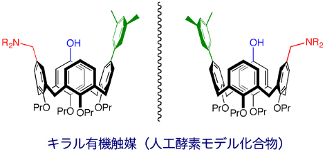 キラル有機触媒（人工酵素モデル化合物）